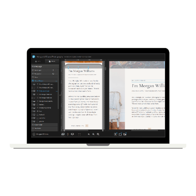 Canvas visibility settings in showit