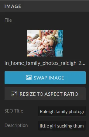 Photographers Guide To Showit Image Optimization Showit image settings panel with seo title and description fields